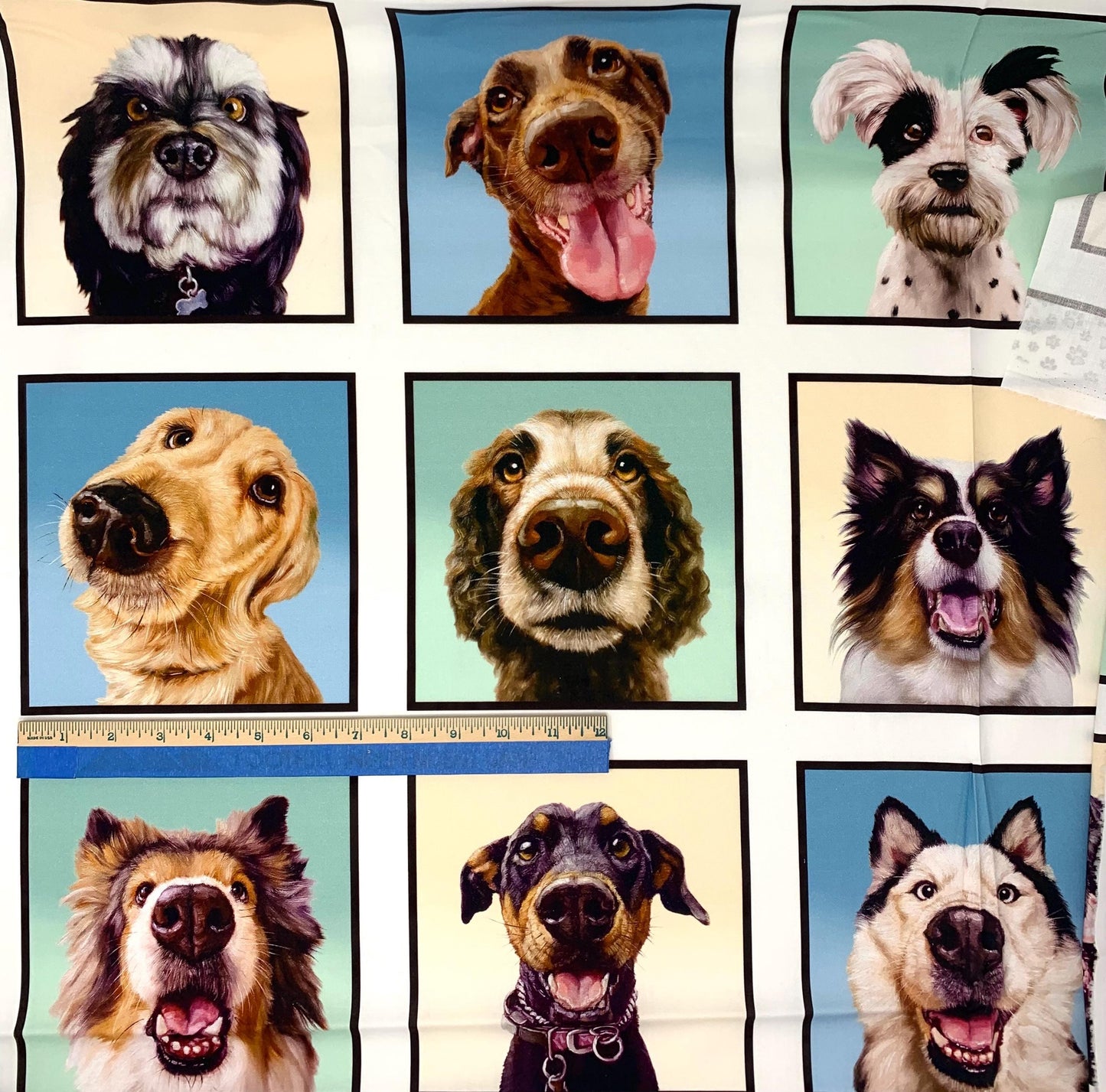 Dog Panel, Follow Your Nose, Elizabeth Studio, 41002E