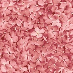 Pink Floral Yardage, Packed Flowers, Lexington, Maywood Studio, Fabric Yardage