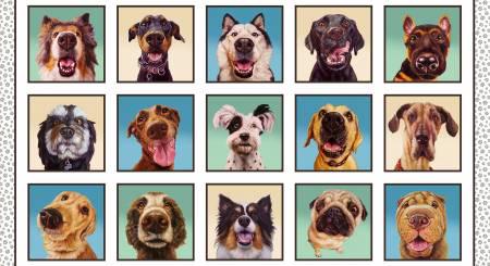 Dog Panel, Follow Your Nose, Elizabeth Studio, 41002E