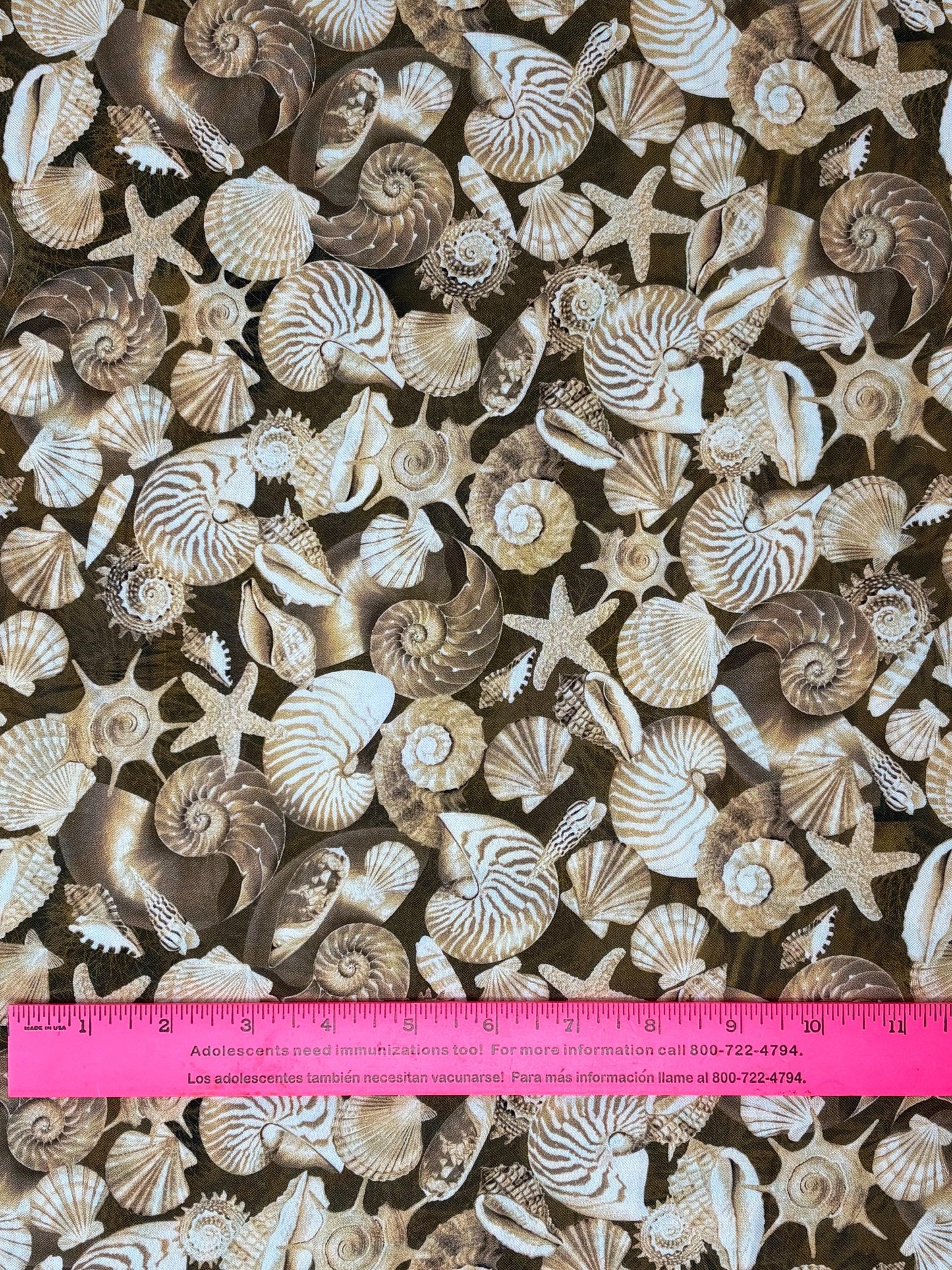 Sand Sea Shells Fabric Yardage: Oceana Shells Sand, Kanvas Studio