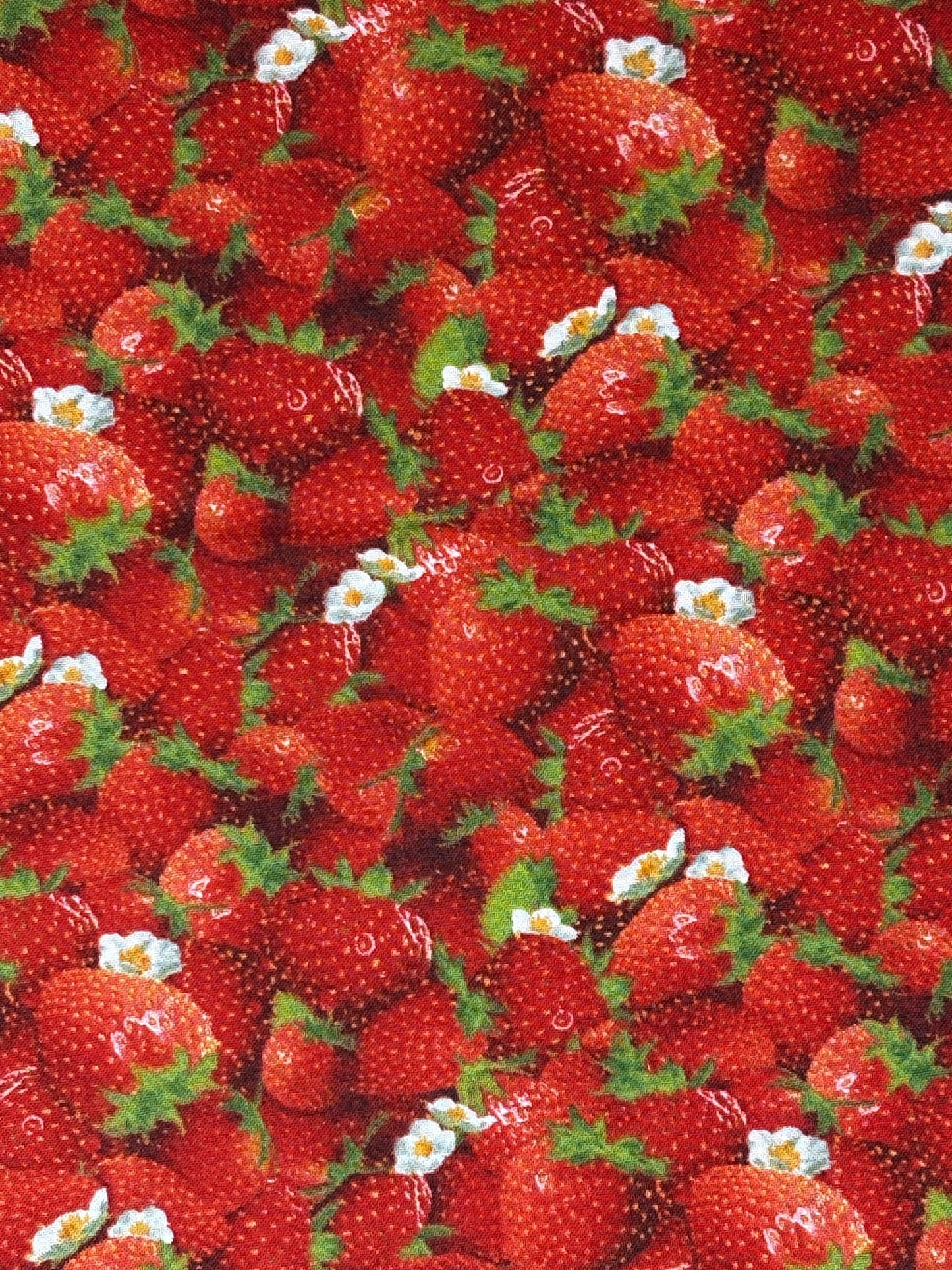 Red Strawberry Yardage, Berry Good, Elizabeth's Studio