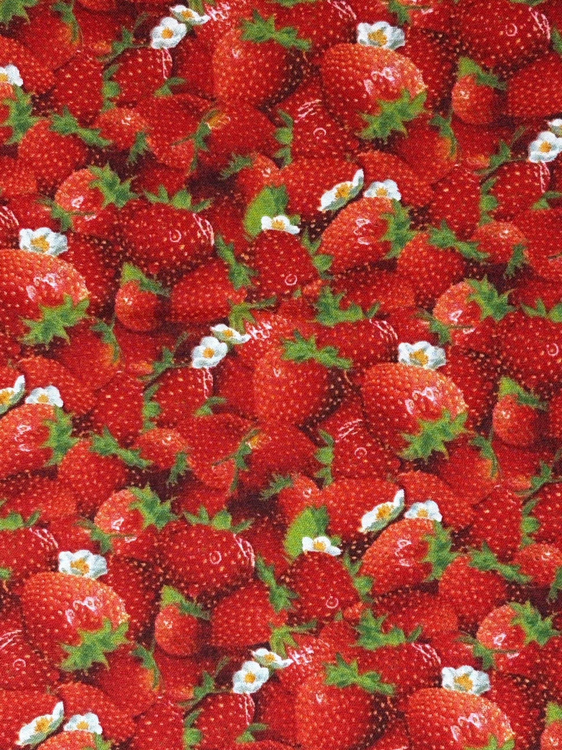 Red Strawberry Yardage, Berry Good, Elizabeth's Studio