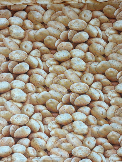 Gold Potatoes Yardage, Food Festival, Elizabeth's Studio