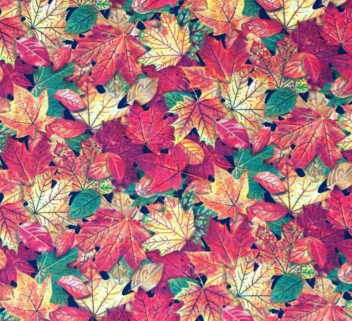 Leaves Yardage, Multi Fall Leaves, Landscape Collection, Elizabeth Studio