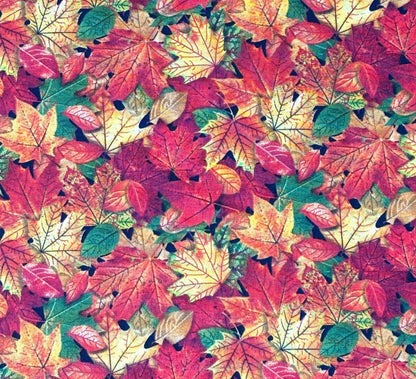 Leaves Yardage, Multi Fall Leaves, Landscape Collection, Elizabeth Studio