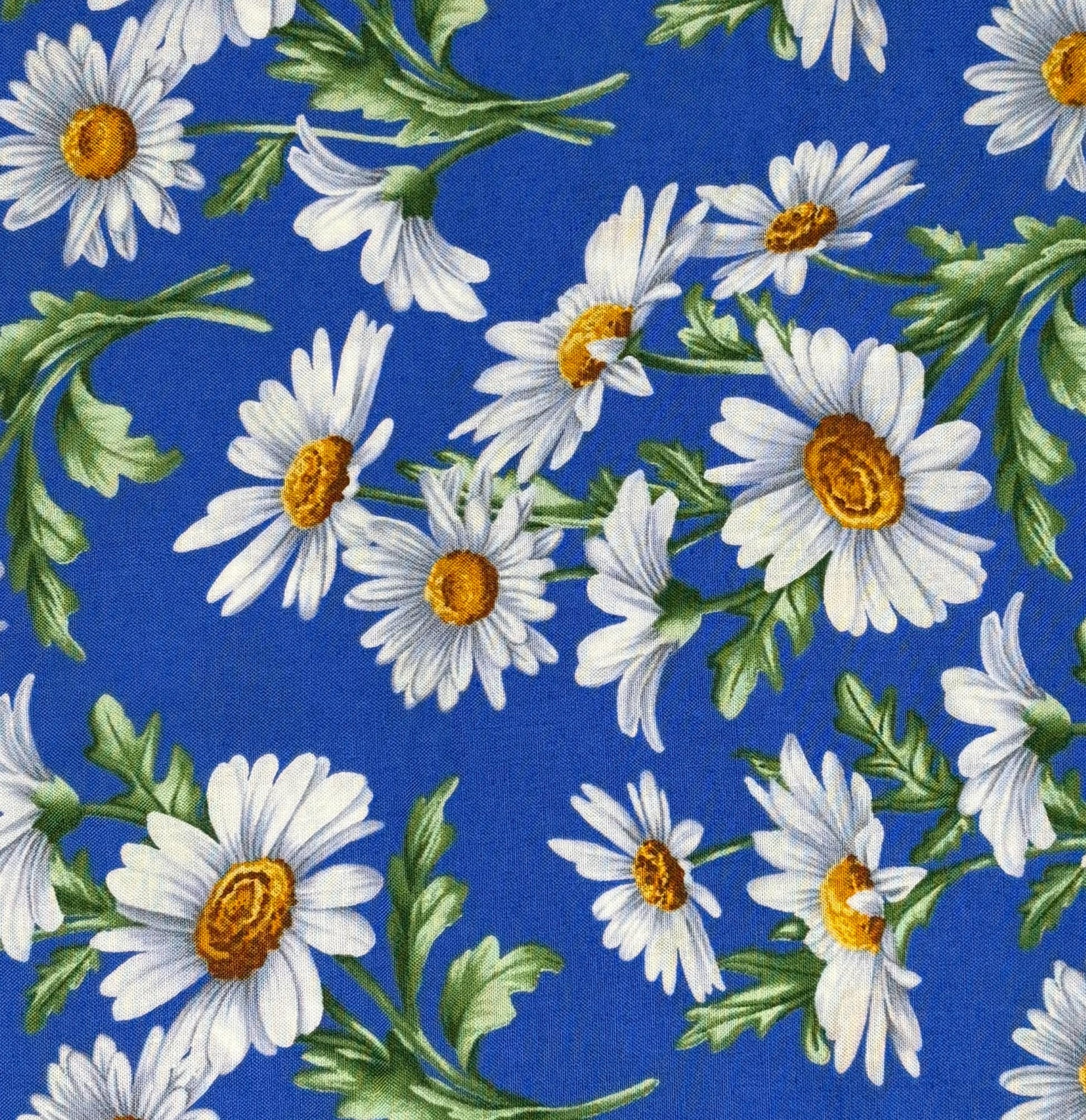Daisy Cotton Fabric Yardage: All About Daisies, Medium Blue, White, Benartex
