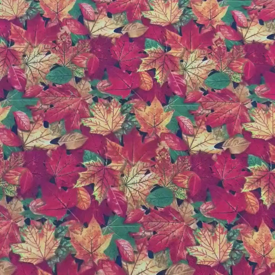 Leaves Yardage, Multi Fall Leaves, Landscape Collection, Elizabeth Studio