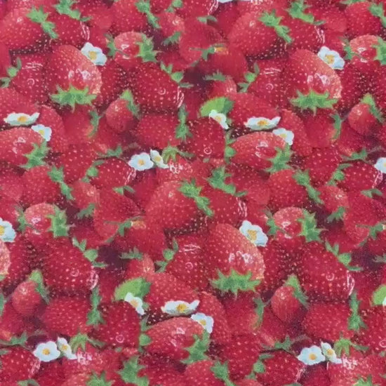 Red Strawberry Yardage, Berry Good, Elizabeth's Studio